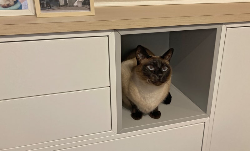 Katzenkissen für IKEA Regal EKET nähen - Vorher ohne Kissen